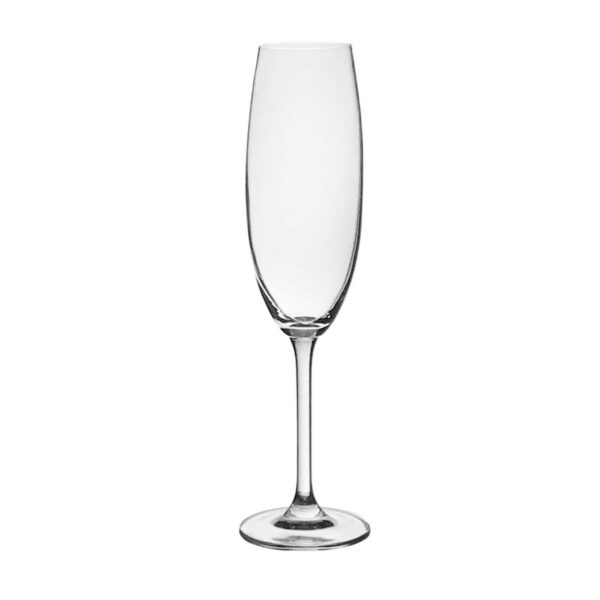 Loja Casa Canto - Taças de Cristal - Jogo Taças para Champanhe Cristal Titanium Gastro 220ml 6un Bohemia