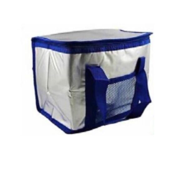 Loja Casa Canto - Bolsa Térmica - Bolsa Térmica 15litros Poliester aluminio 28x16x20cm IC