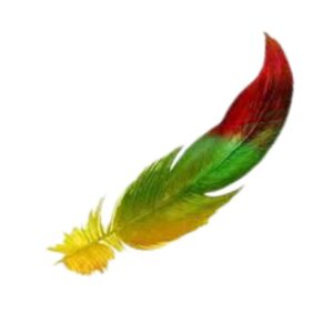 Pena - Produto Teste