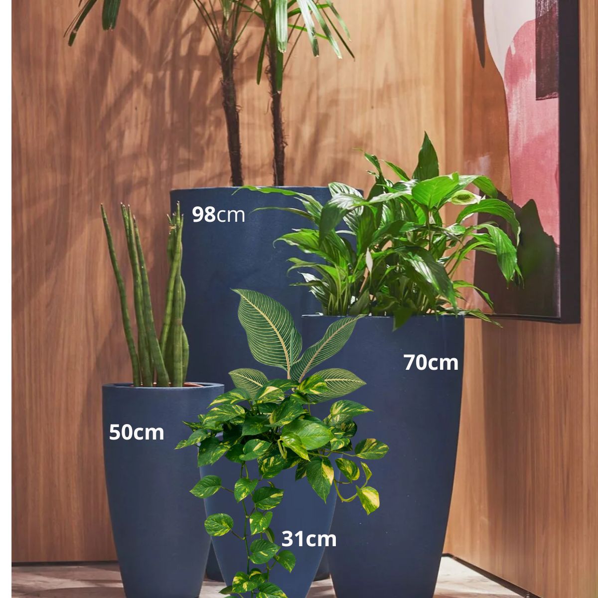 Vaso Plantas Diversas Varanda Sala 1un 98cm Vietnamita - Image 8