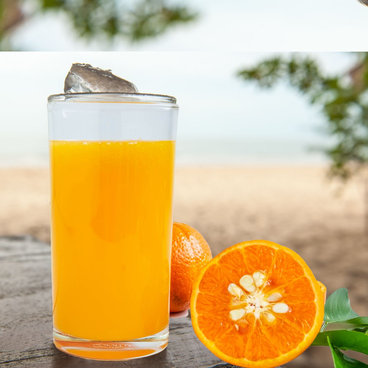 Jogo Taças e Copos Cristal com Titânio Gastro 30un Bohemia - Image 5
