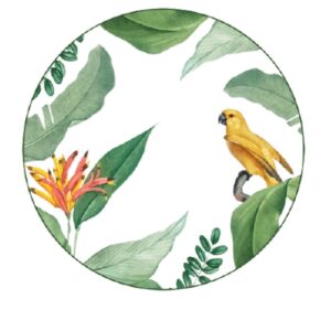 Loja Casa Canto - Pratos Avulsos - Jogo Pratos Rasos Natureza 27cm 6un Porcelana Germer