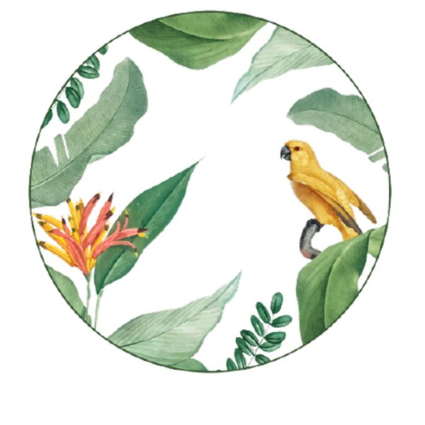 Loja Casa Canto - Pratos Avulsos - Jogo Pratos Rasos Natureza 27cm 6un Porcelana Germer