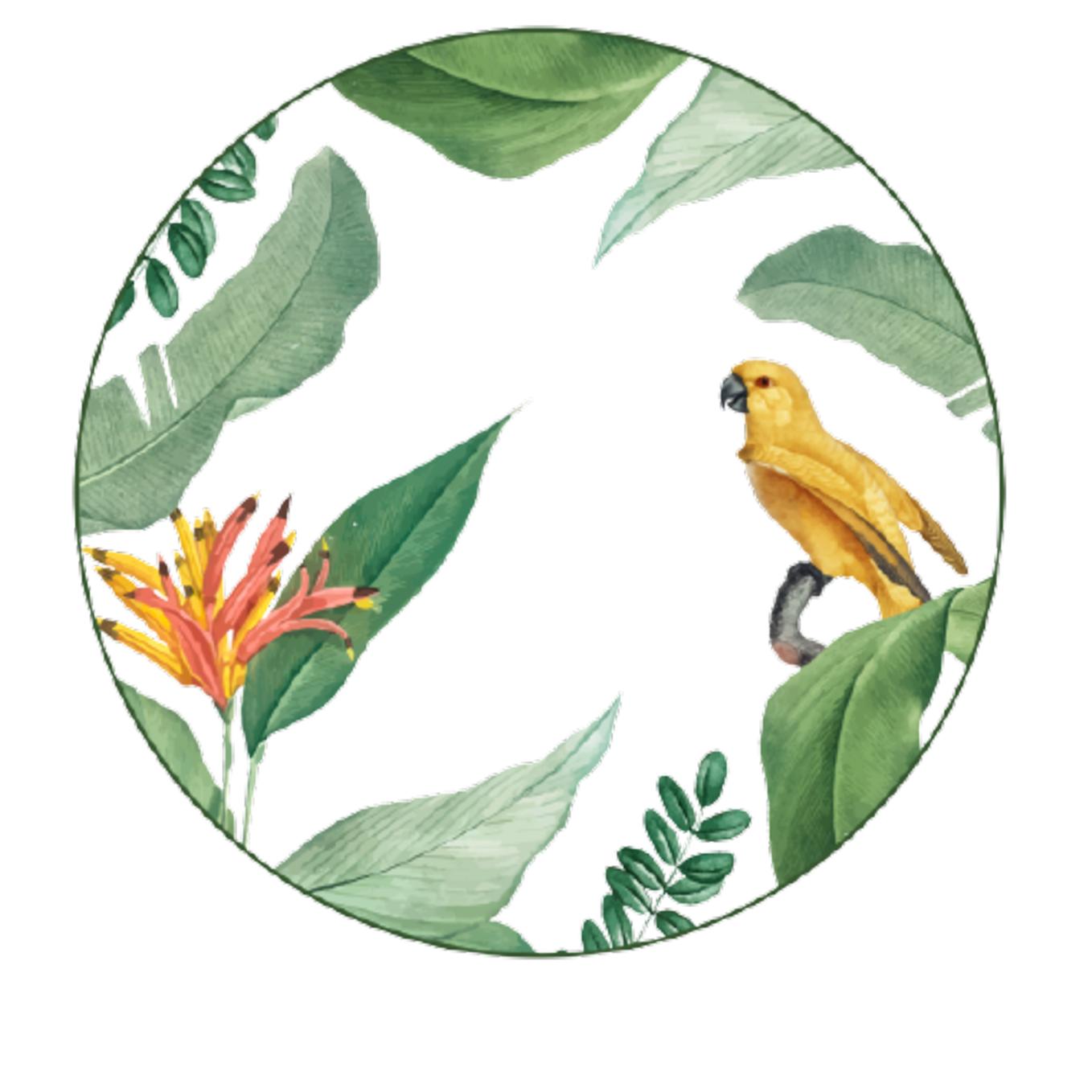 Loja Casa Canto - Pratos Avulsos - Jogo Pratos Rasos Natureza 27cm 6un Porcelana Germer