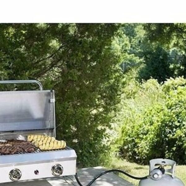 Loja Casa Canto - Churrasqueira Elétrica - Churrasqueira à Gas Bancada Inox Portátil 2 Queimadores Member’s Marlk